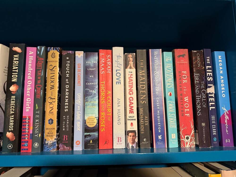 Collection of 17 Fiction Books